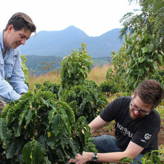 Finca Teanzul