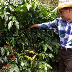 Finca La Providencia
