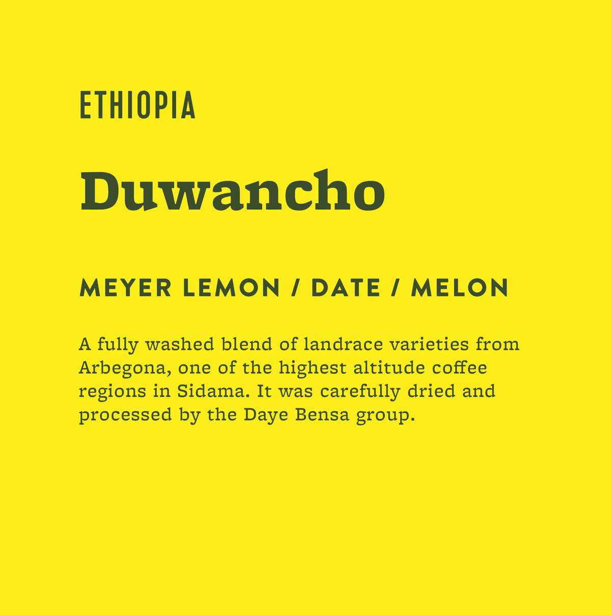 Duwancho Washed