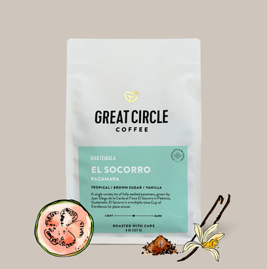 El Socorro Pacamara