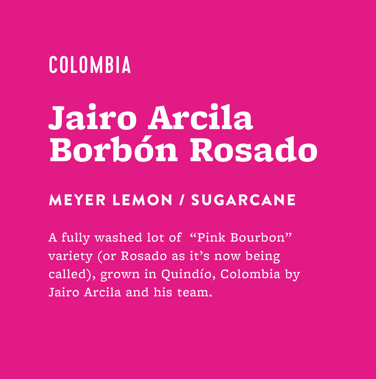 Jairo Arcila Borbón Rosado