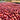 Bombe Dry Processed